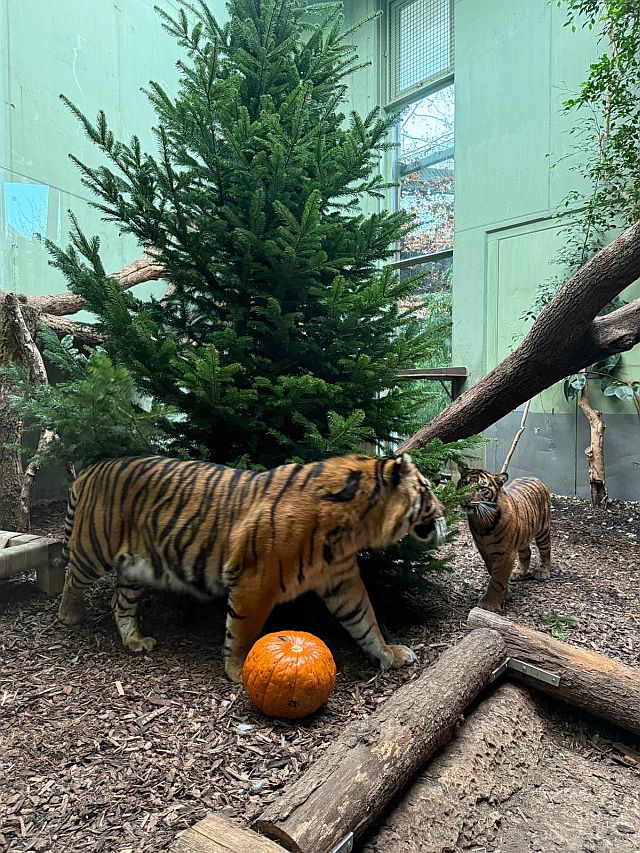 Kooperation zwischen Zoo und Oper Frankfurt