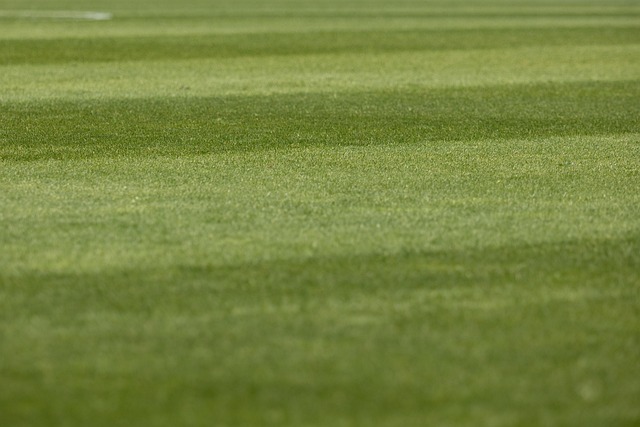 Von der Macht des Schicksals: »Amor vien dal destino« an der Oper Frankfurt